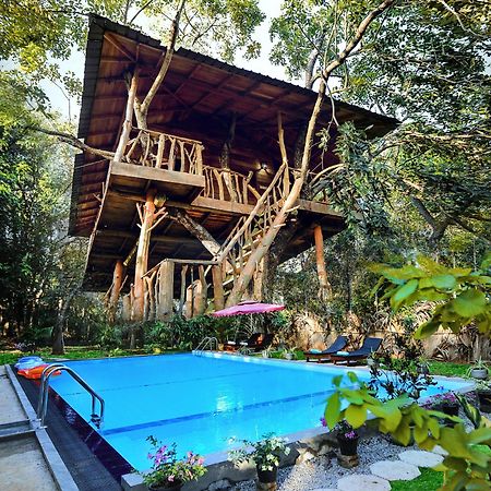 Lotus Eco Villa Sigiriya Buitenkant foto