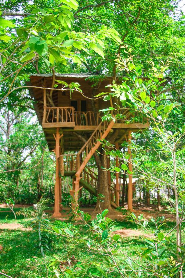 Lotus Eco Villa Sigiriya Buitenkant foto