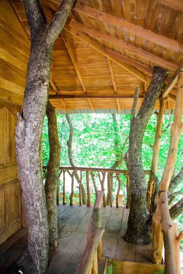 Lotus Eco Villa Sigiriya Buitenkant foto