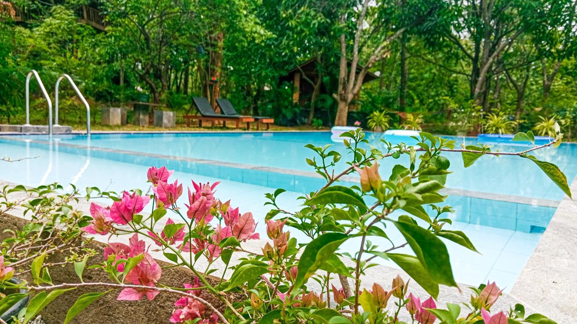 Lotus Eco Villa Sigiriya Buitenkant foto