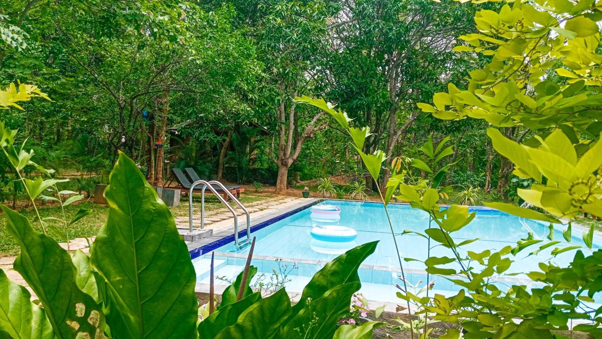 Lotus Eco Villa Sigiriya Buitenkant foto