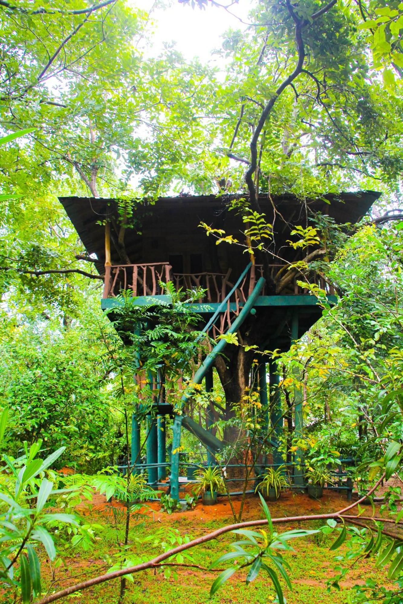 Lotus Eco Villa Sigiriya Buitenkant foto