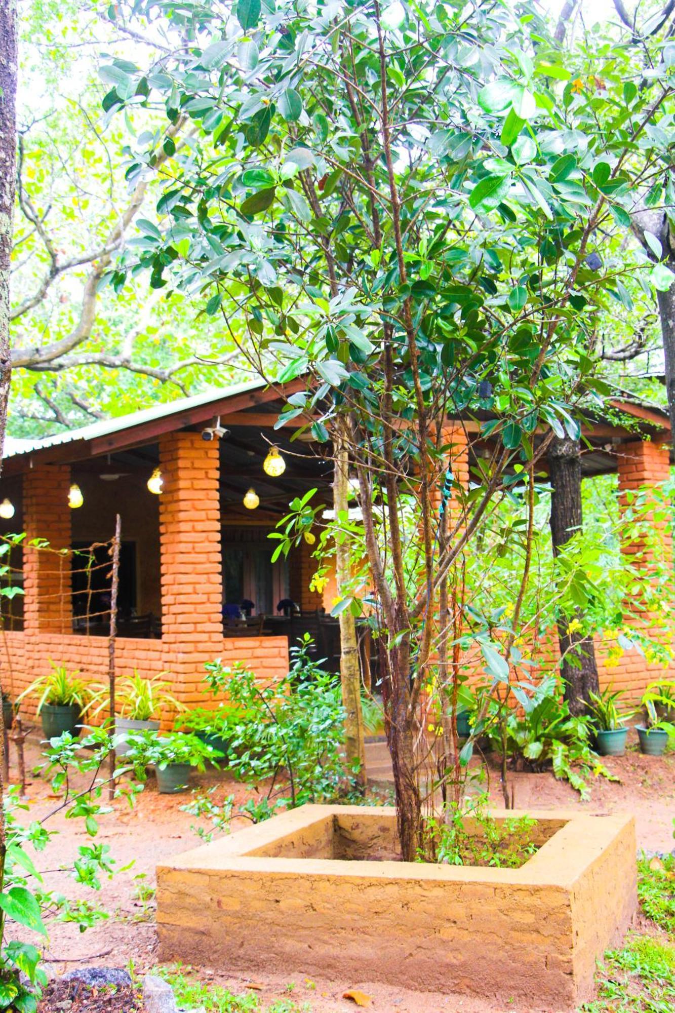 Lotus Eco Villa Sigiriya Buitenkant foto