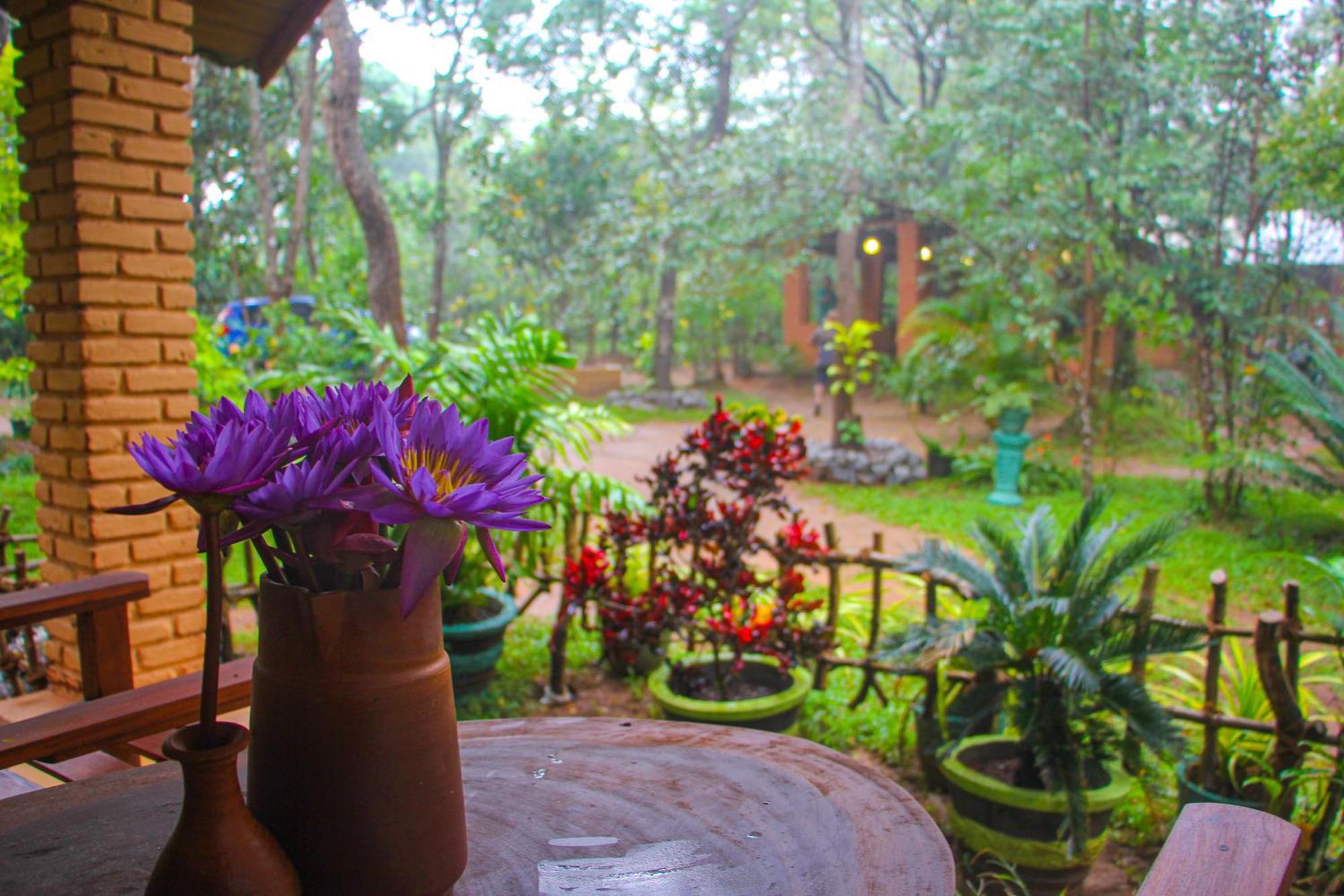 Lotus Eco Villa Sigiriya Buitenkant foto
