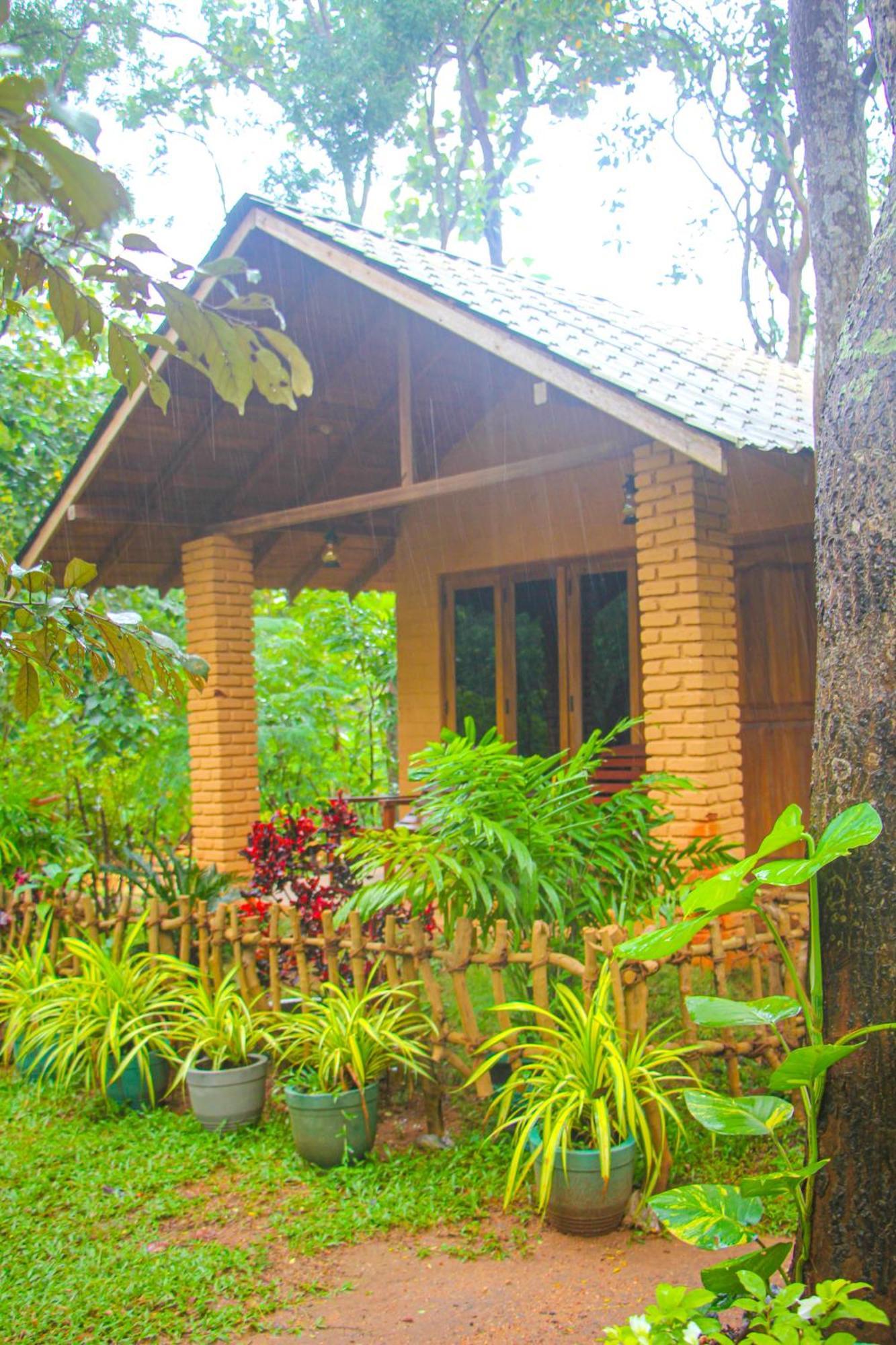 Lotus Eco Villa Sigiriya Buitenkant foto